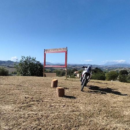 Villa Marcella Casa Vacanza Grottazzolina Bagian luar foto